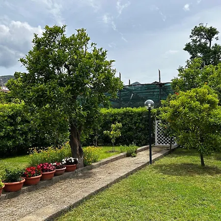 Baia Della Serenita 住宿加早餐酒店 皮雅诺迪索伦托